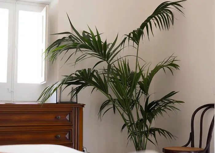 Matteotti * チェファル